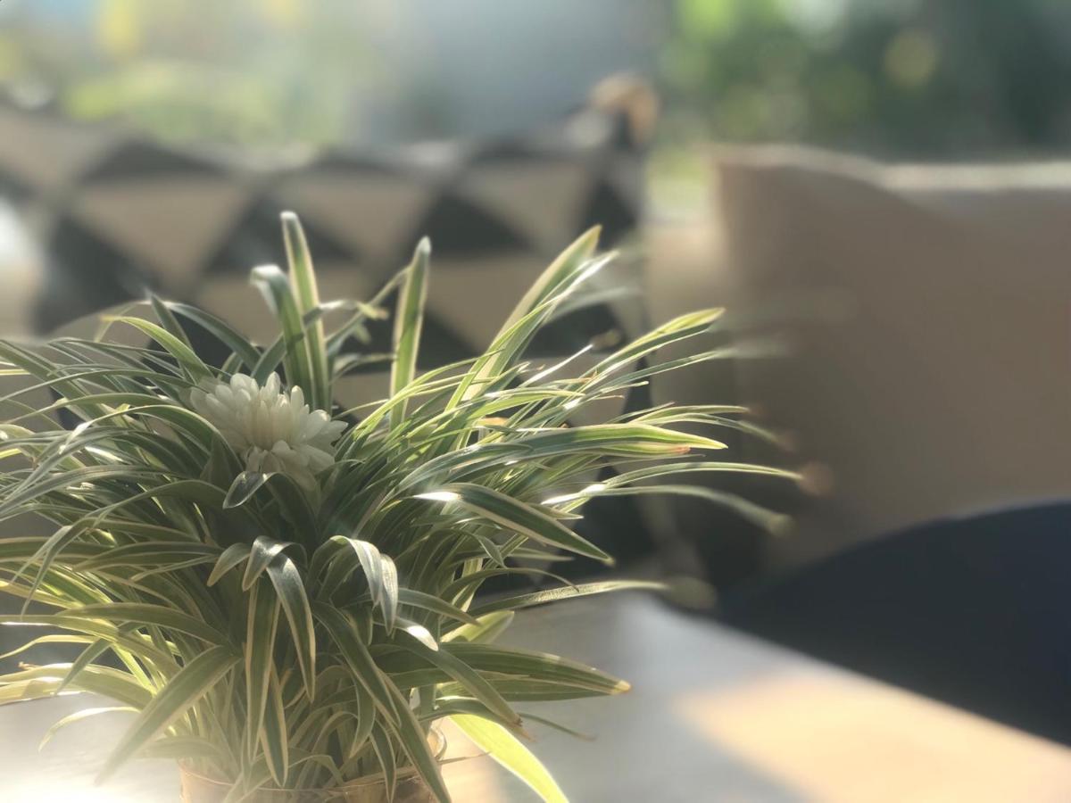 Aonang Eco Villa - Sha Extra Plus Ao Nang Dış mekan fotoğraf